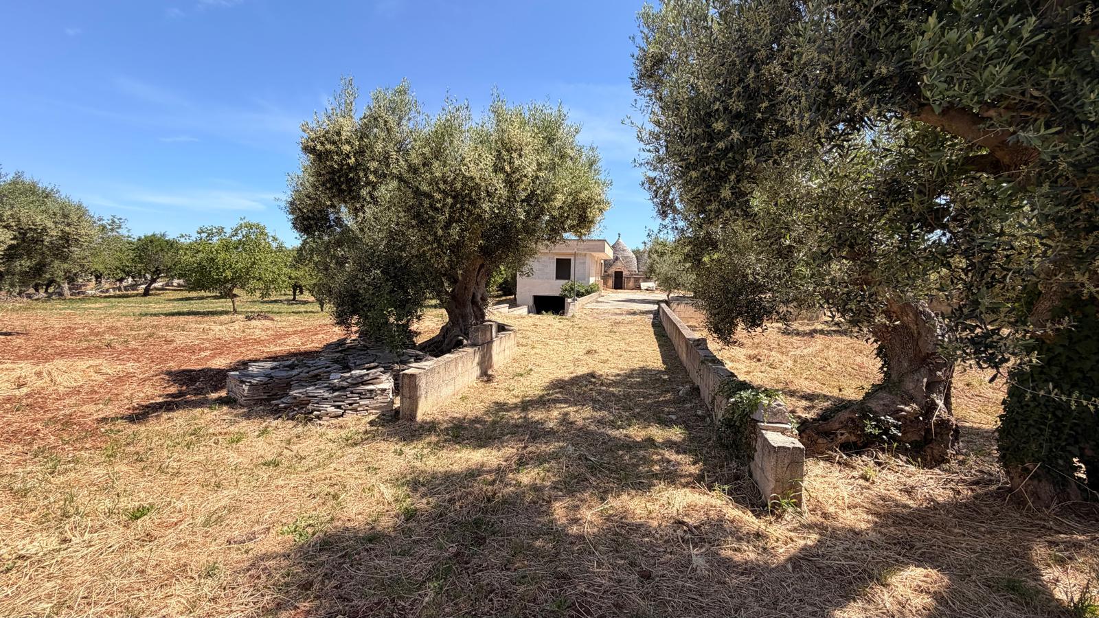Piccola Villetta In Zona Abitata, 2 Vani e Acc, Trullo, Deposito.